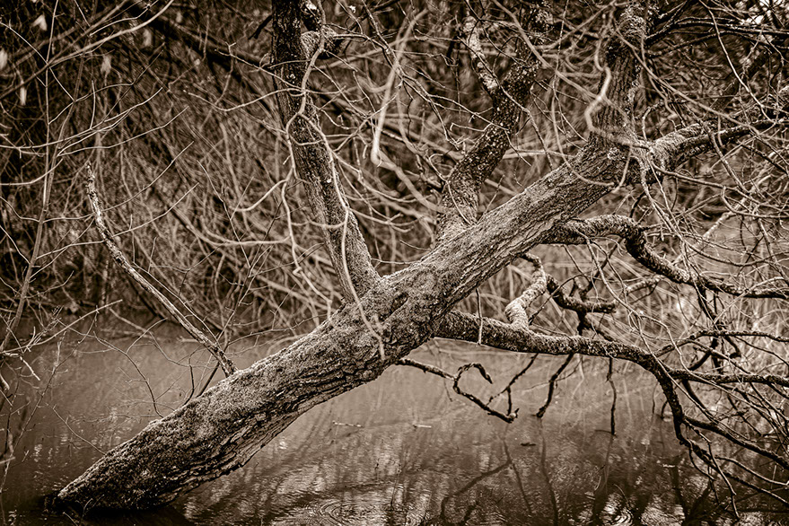 Landschaft Siegaue in S/W
